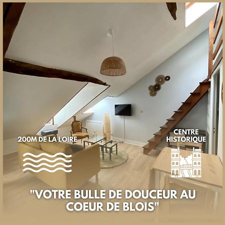 Le Cocon - Appartement En Hyper Centre Блуа Экстерьер фото